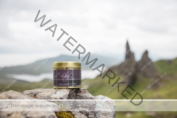 Wild Mountain Thyme